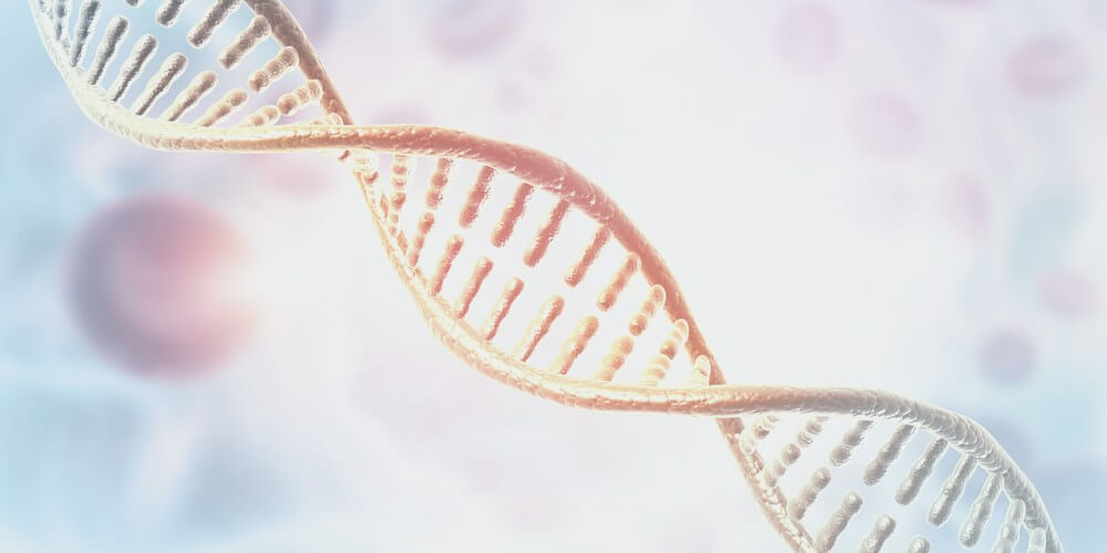 DNA Profiling - identifying unique genes