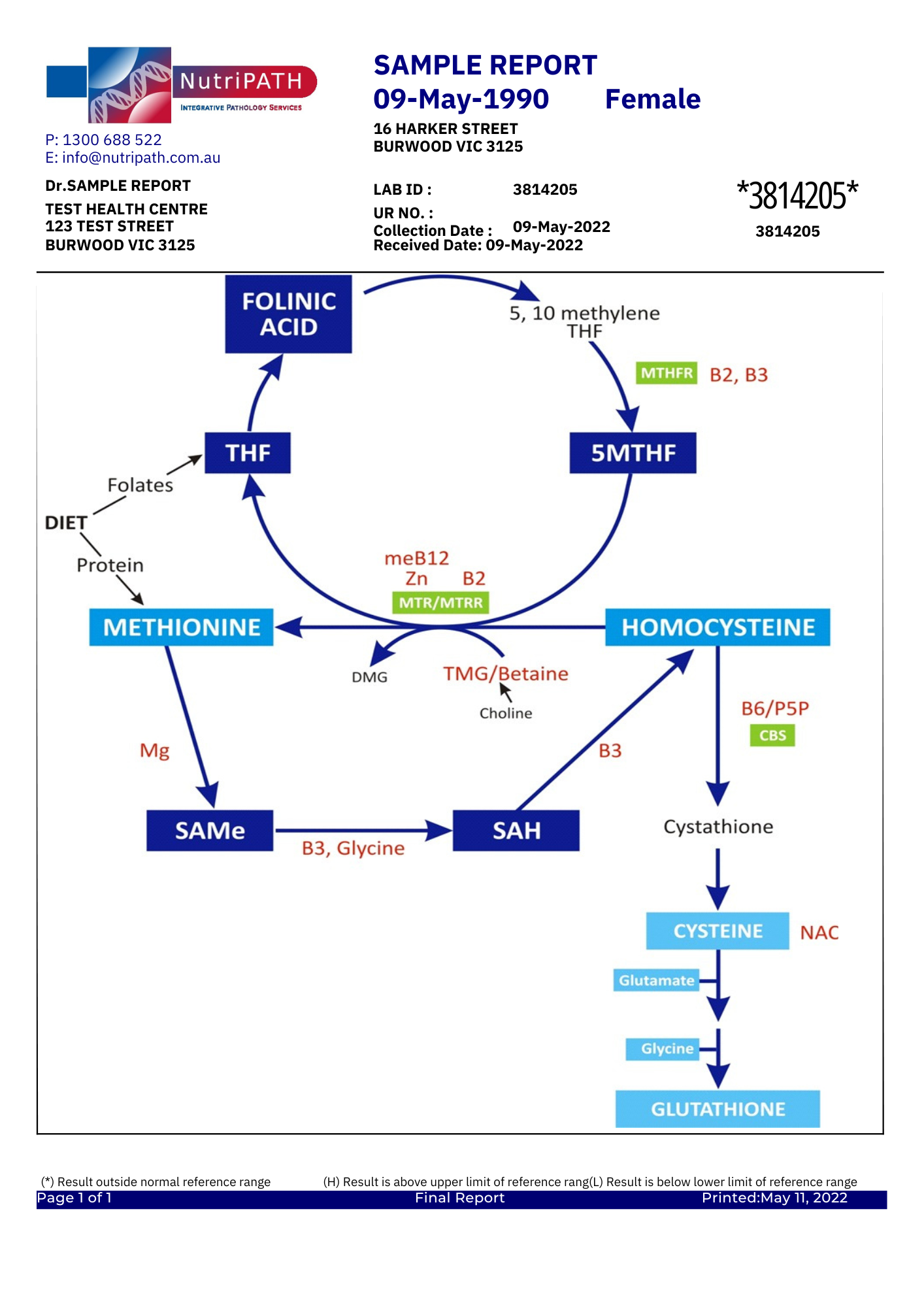 Methylation Profile Dry Ice- Test Code 5101 2 Methylation Profile Dry Ice- Test Code 5101 - Image 2