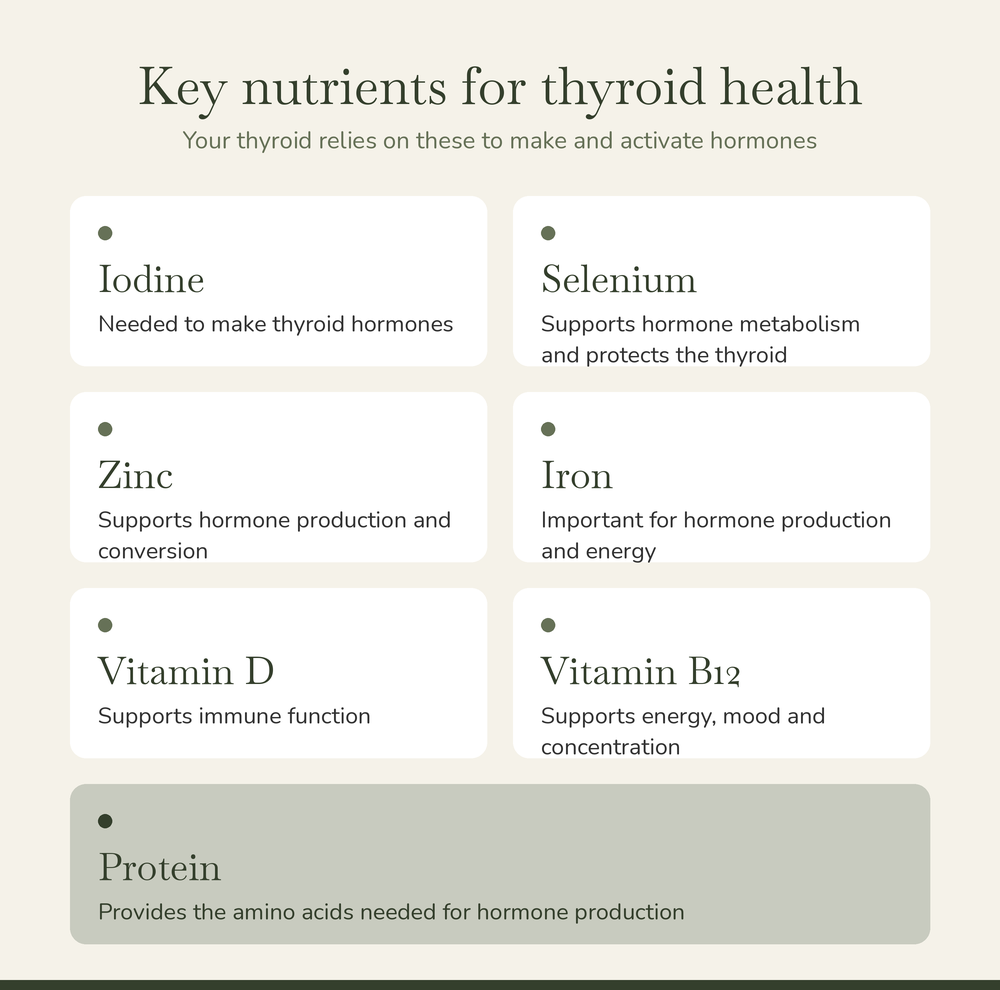 Chart of key nutrients for thyroid health: iodine, selenium, zinc, iron, vitamin D, vitamin B12 and protein, with the role of each