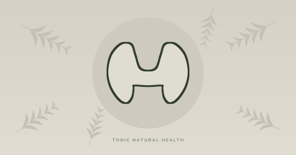 Illustration of the thyroid gland surrounded by botanical leaves, in Tonic Natural Health brand colours