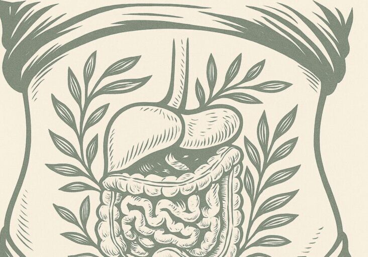 SIBO ARTICLE AND SOCIALS AUG 2025