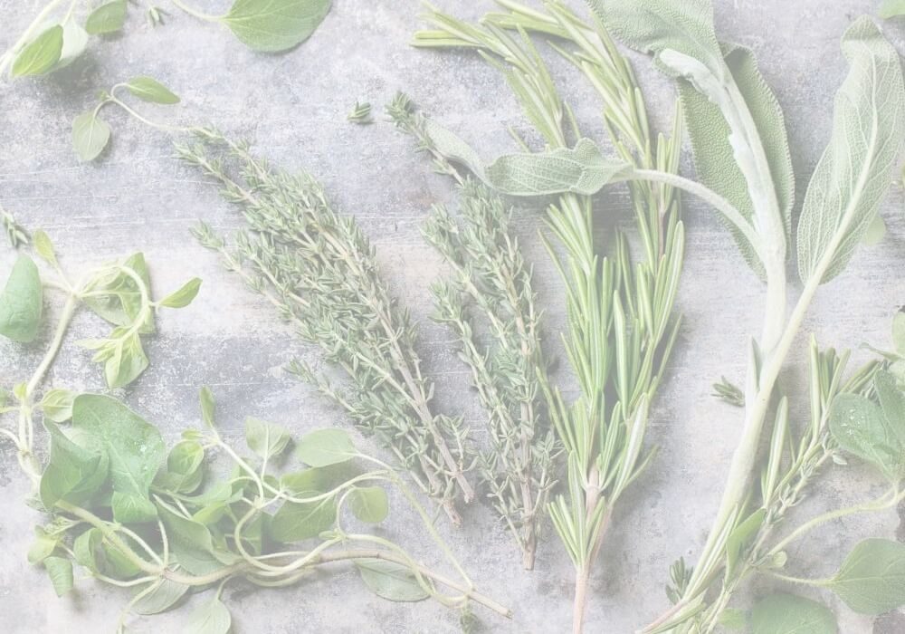 herbs for health pic